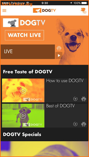 DOGTV screenshot