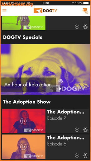 DOGTV screenshot