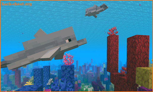 Dolphin Addon For MCPE screenshot