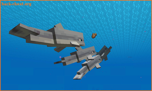 Dolphin Addon For MCPE screenshot