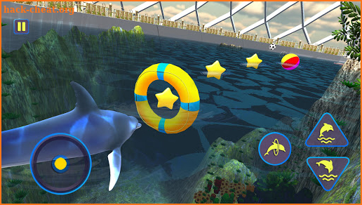 Dolphin Aquarium:  Fun Sports 3D Challenge screenshot