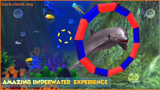 Dolphin Aquarium:  Fun Sports 3D Challenge screenshot