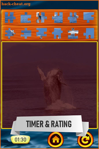Dolphin Jigsaw Puzzle screenshot