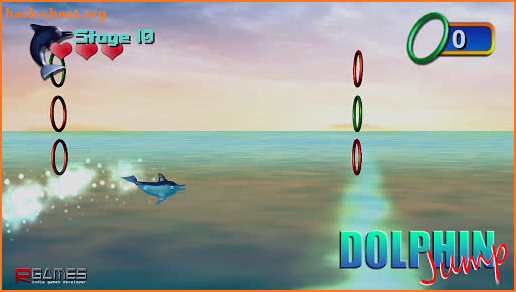 Dolphin Jump Premium screenshot