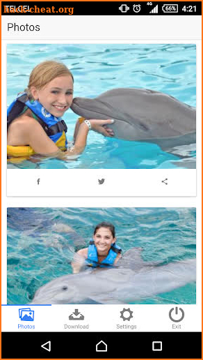 Dolphin Memories screenshot