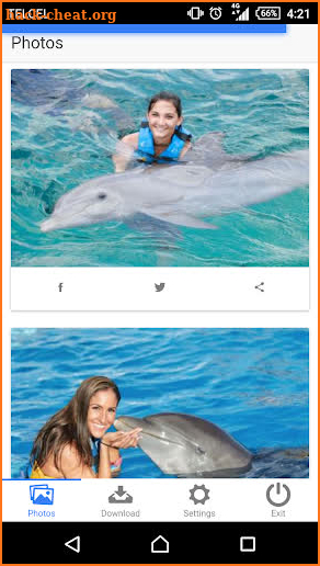 Dolphin Memories screenshot
