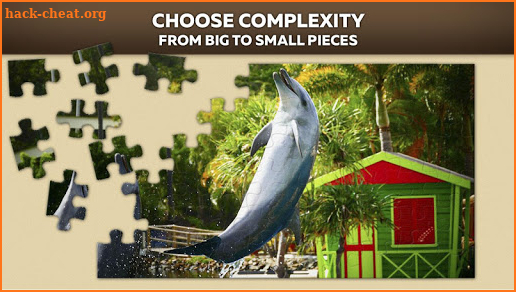 Dolphin puzzles screenshot