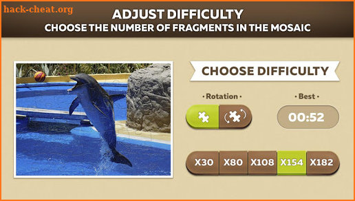 Dolphin puzzles screenshot