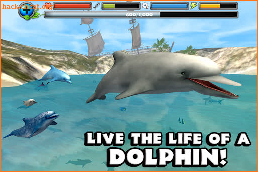 Dolphin Simulator screenshot