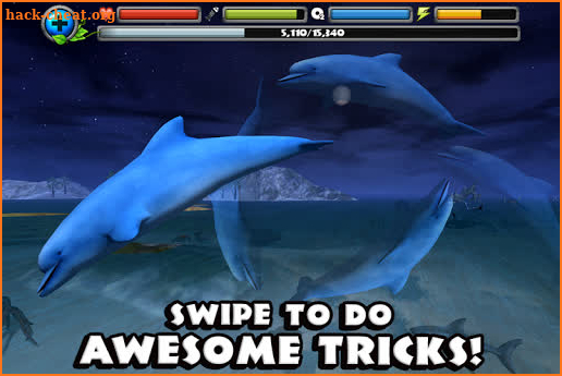 Dolphin Simulator screenshot