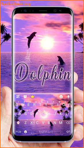 Dolphin Sunset Keyboard Theme screenshot