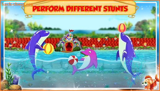 Dolphin Water Show screenshot