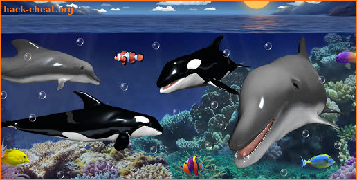 Dolphins and orcas wallpaper screenshot
