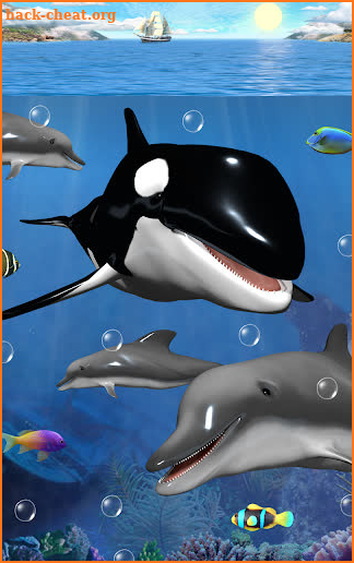 Dolphins and orcas wallpaper screenshot