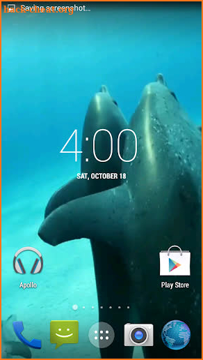 Dolphins HD. Video Wallpaper screenshot