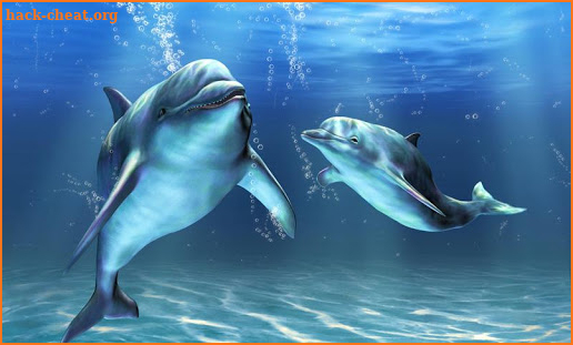 Dolphins Live Wallpaper screenshot