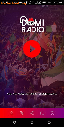 Domi Radio screenshot