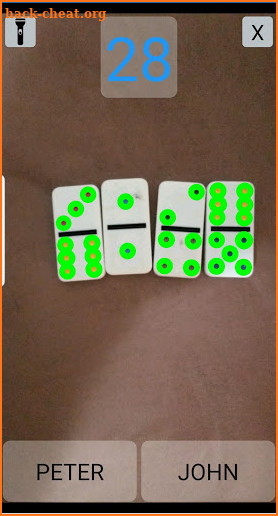 Domino Scan screenshot