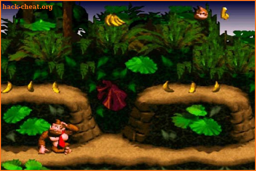 Donkey Kong New Guide screenshot
