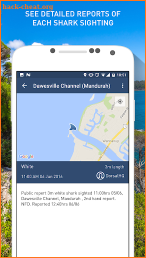 Dorsal Shark Reports screenshot