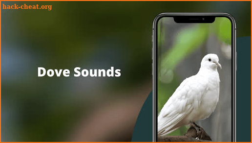 Dove Sounds - Dove Calls for Hunting screenshot