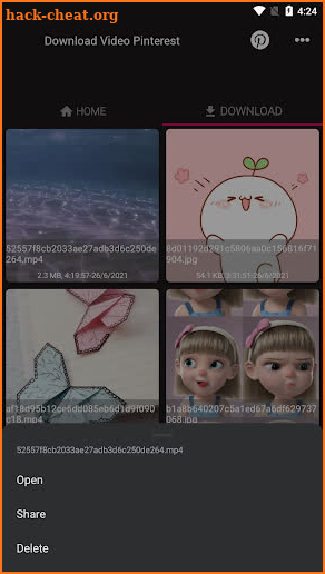 Download video & GIF from Pinterest screenshot