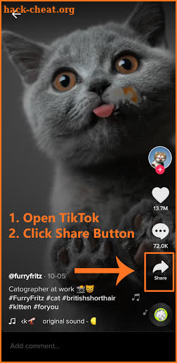 Downloader for TikTok without Watermark - TikSave screenshot