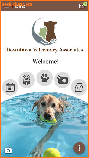 Downtown Veterinary Assoc screenshot