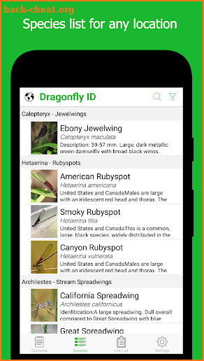 Dragonfly ID screenshot
