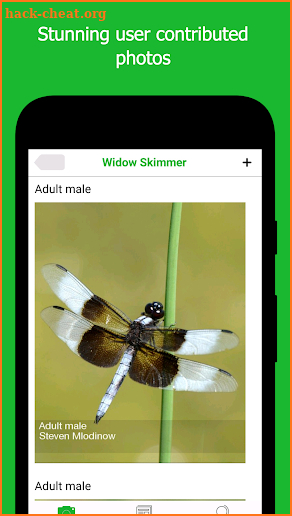 Dragonfly ID screenshot