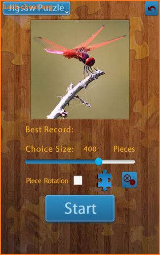 Dragonfly Jigsaw Puzzles screenshot