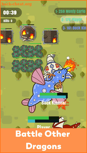 Drakes.io - Dragons .IO Game screenshot