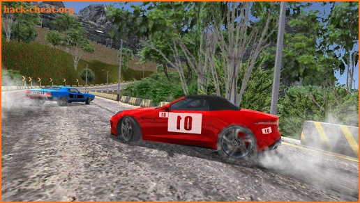 Drift Car Racing screenshot