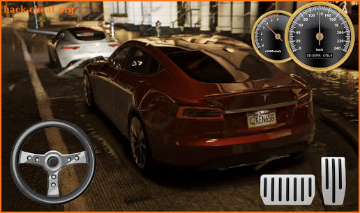 Drive Tesla Model S P100D Eco City screenshot