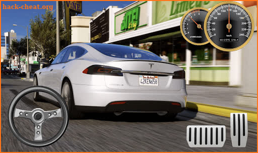 Drive Tesla Model S P100D Eco City screenshot