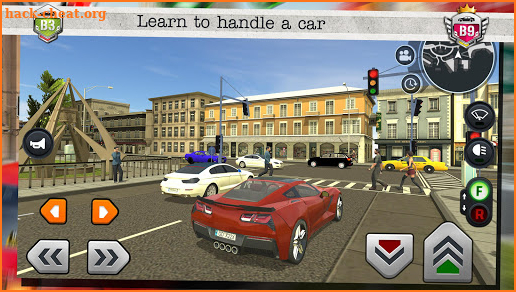 Driver’s License Course screenshot