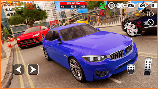 Driving School Car 3D screenshot