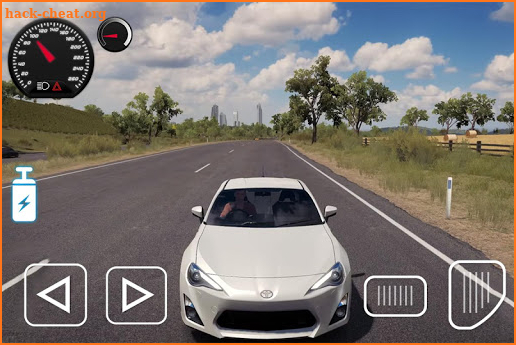 Driving Toyota Car Game screenshot