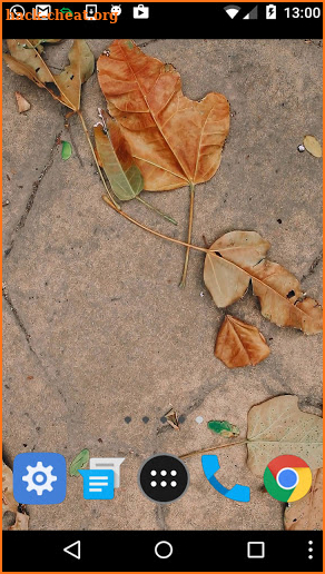 dry leaves wallpaper screenshot