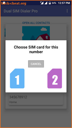 Dual SIM Dialer Pro screenshot
