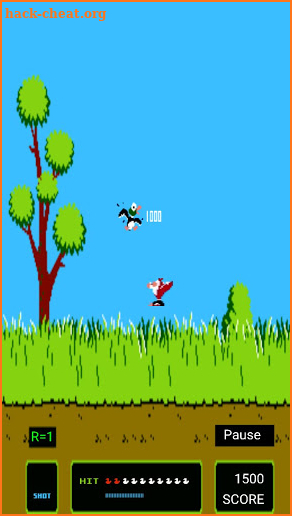 Duck Hunt Game screenshot
