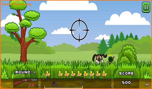 Duck Hunter screenshot