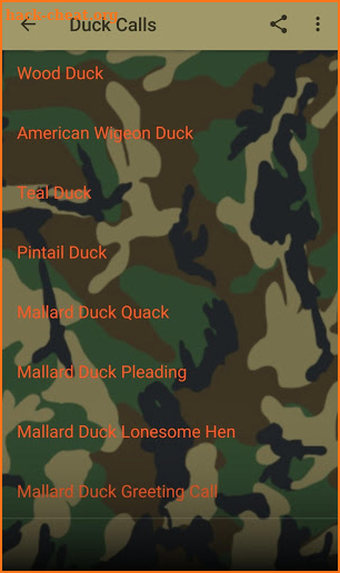 Duck Hunting Calls screenshot