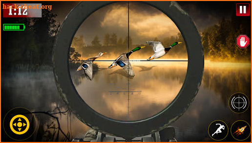 Duck Hunting: Wild Shooting 3D screenshot