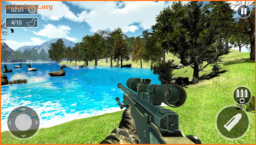 Duck Hunting with Gun screenshot