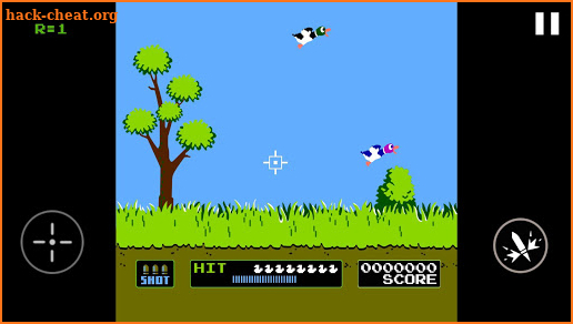 Duck Shooting screenshot