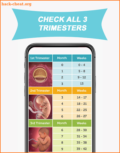 Due Date Calculator Pregnancy screenshot