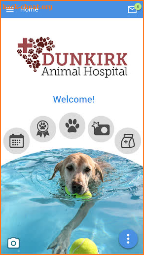 Dunkirk Animal Hospital screenshot
