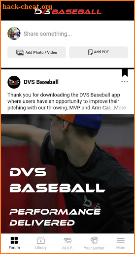DVS Baseball MVP Program screenshot