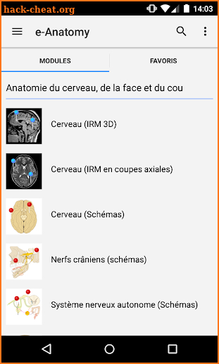 e-Anatomy screenshot